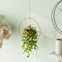 Aberto Design Payanda - Cobre